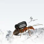 BOYA mini 2-04 Wireless Microphone (TX-2, RX-1) - Image 4