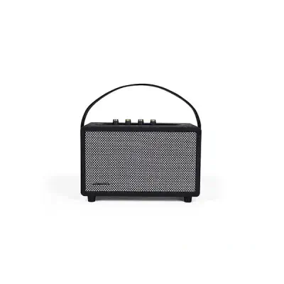 Microlab KTV203 portable bag karaoke speaker with microphone