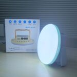 Solar LED Camping Light F8-125 portable outdoor lighting